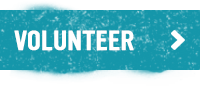 Volunteer